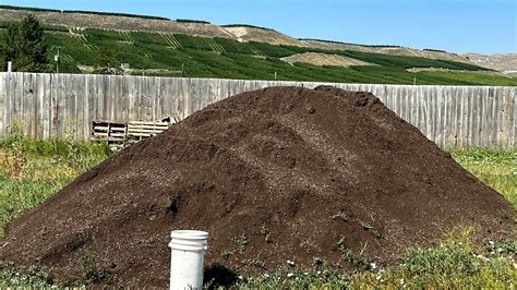 Washington’s legal pot farms get back to work after pesticide concerns halted operations